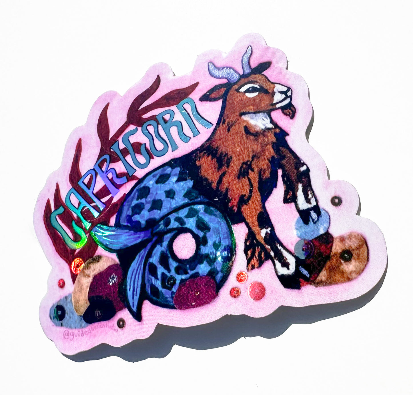 Zodiac Stickers - Capricorn