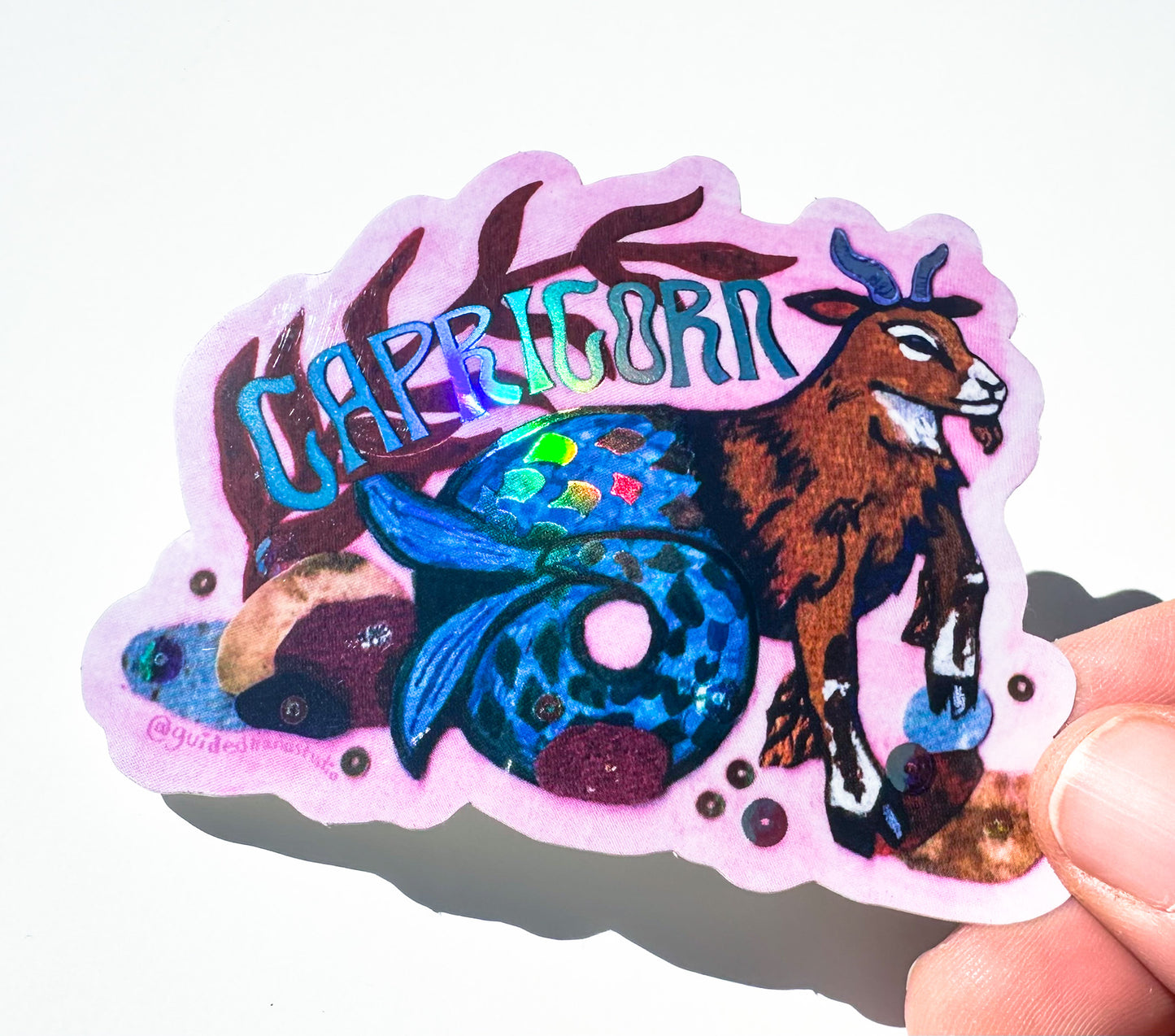 Zodiac Stickers - Capricorn