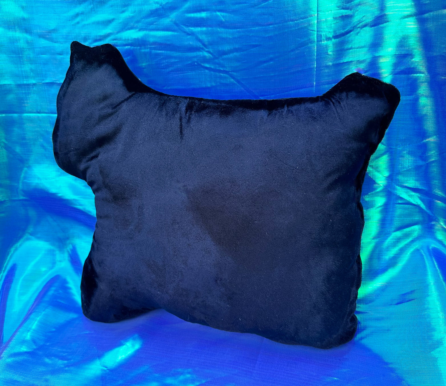 Familiar Pillows