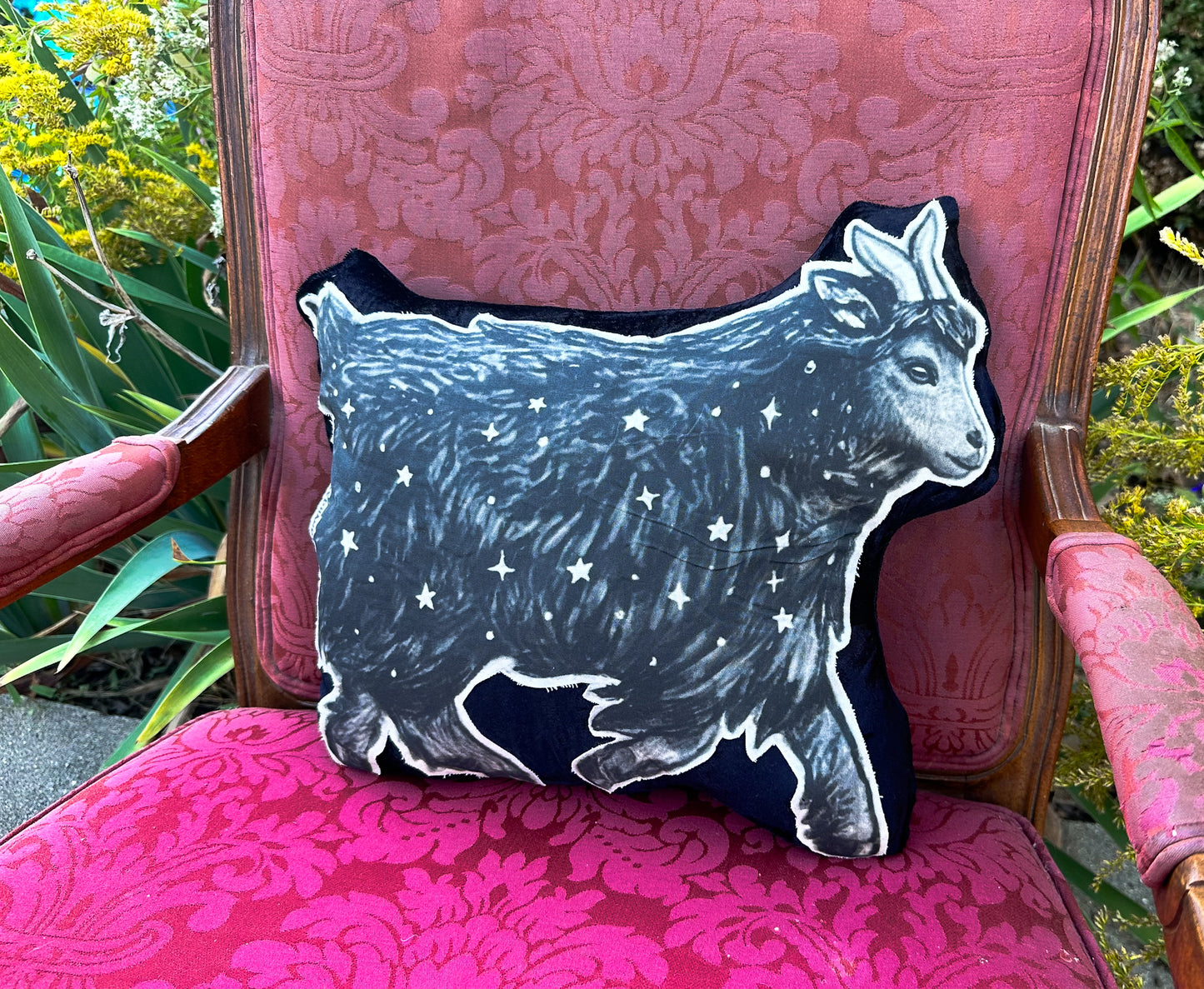 Familiar Pillows