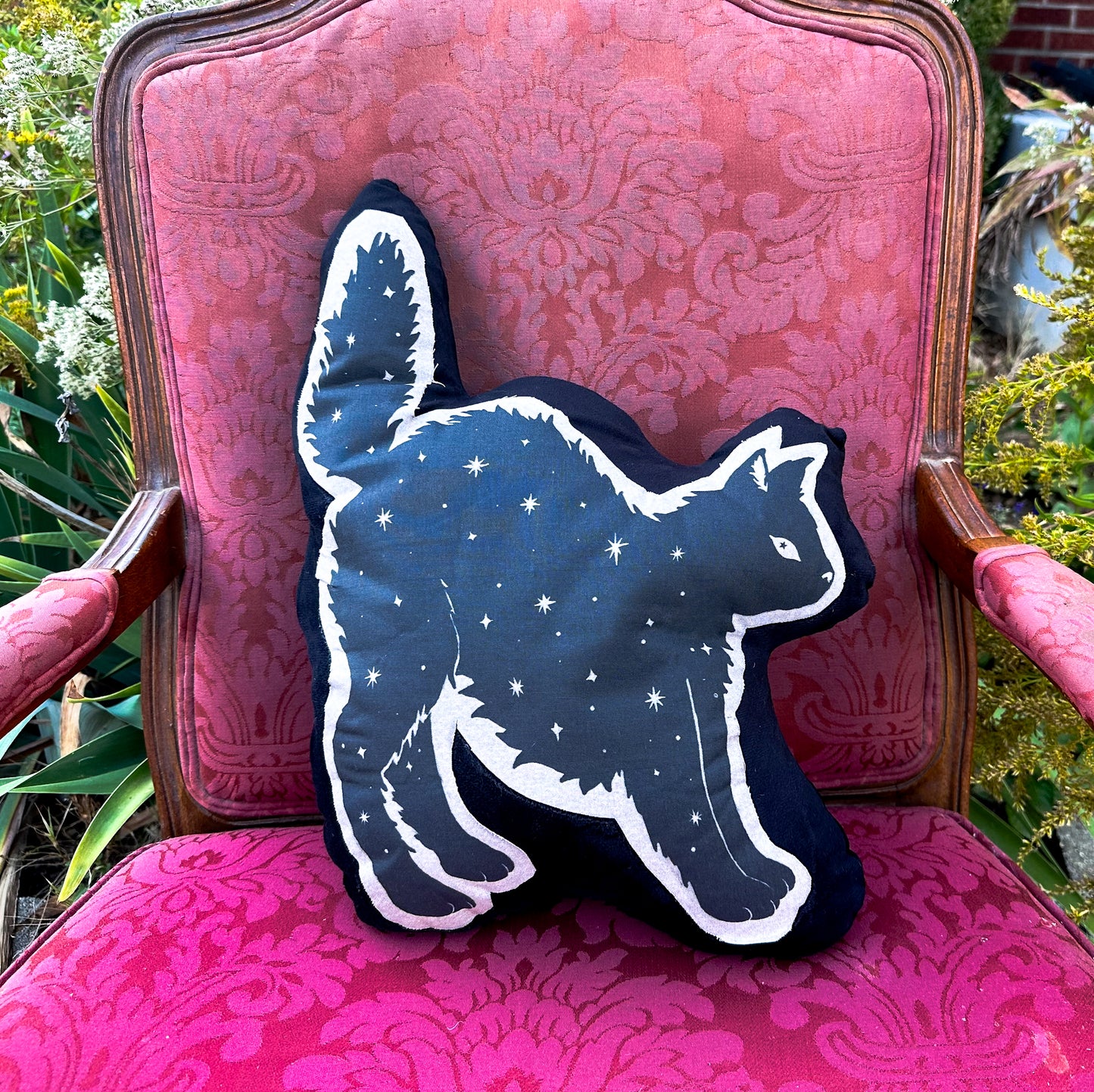 Familiar Pillows