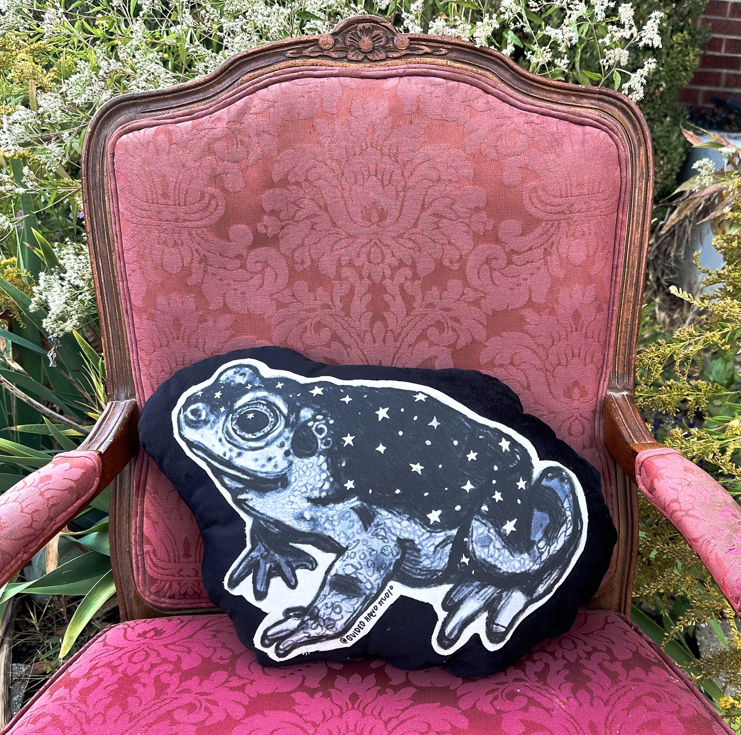 Familiar Pillows